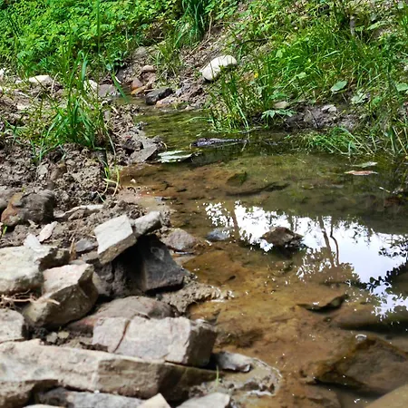 Miedzy Gorami דירה קורבילו