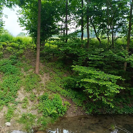 Miedzy Gorami קורבילו