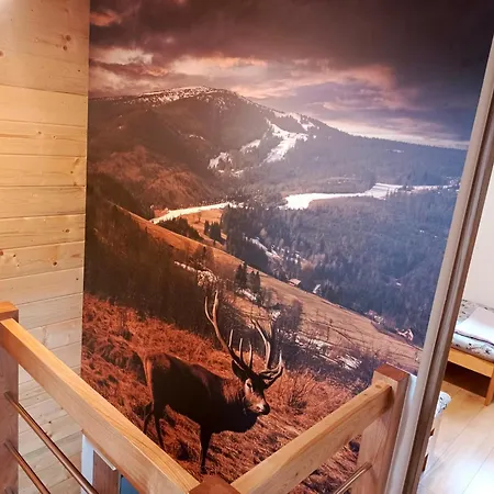 Miedzy Gorami דירה *