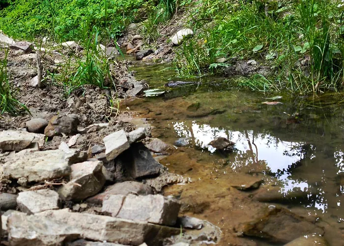 Miedzy Gorami דירה קורבילו