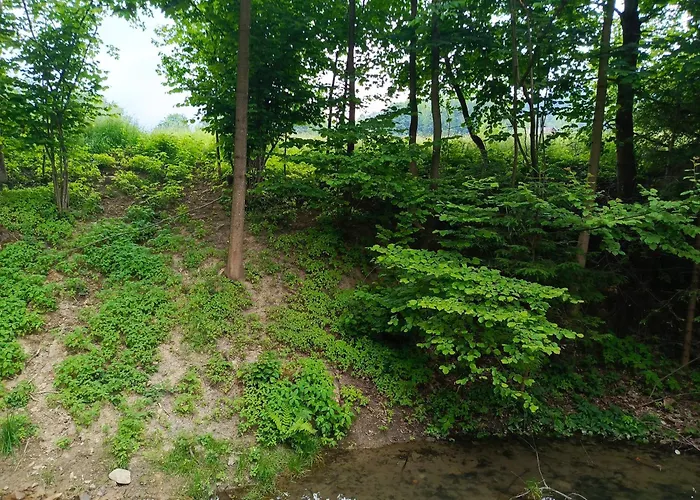 Miedzy Gorami קורבילו